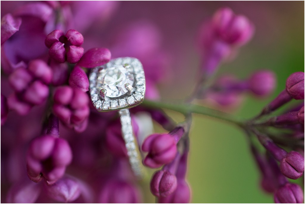 Springfield Spring Farm Engagement Session_0040