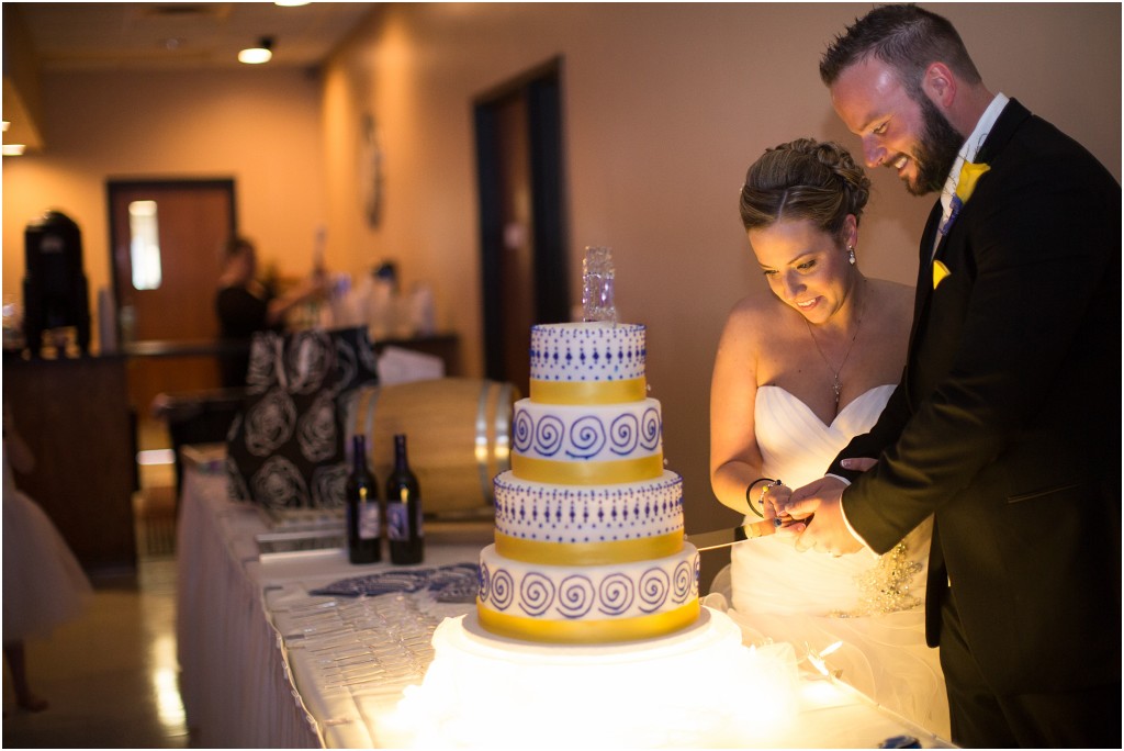 Blue and Yello Springfield Wedding Photography_0090