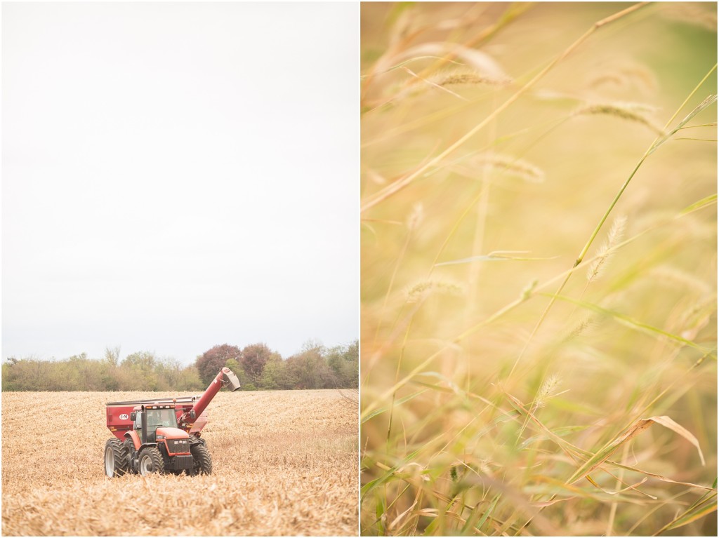 Central Illinois Photographer_0002