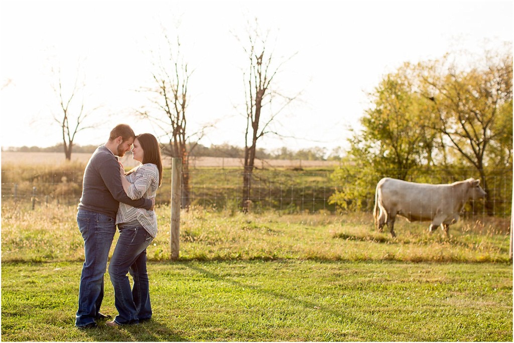 Central Illinois Wedding and Engagement Photographer_0013