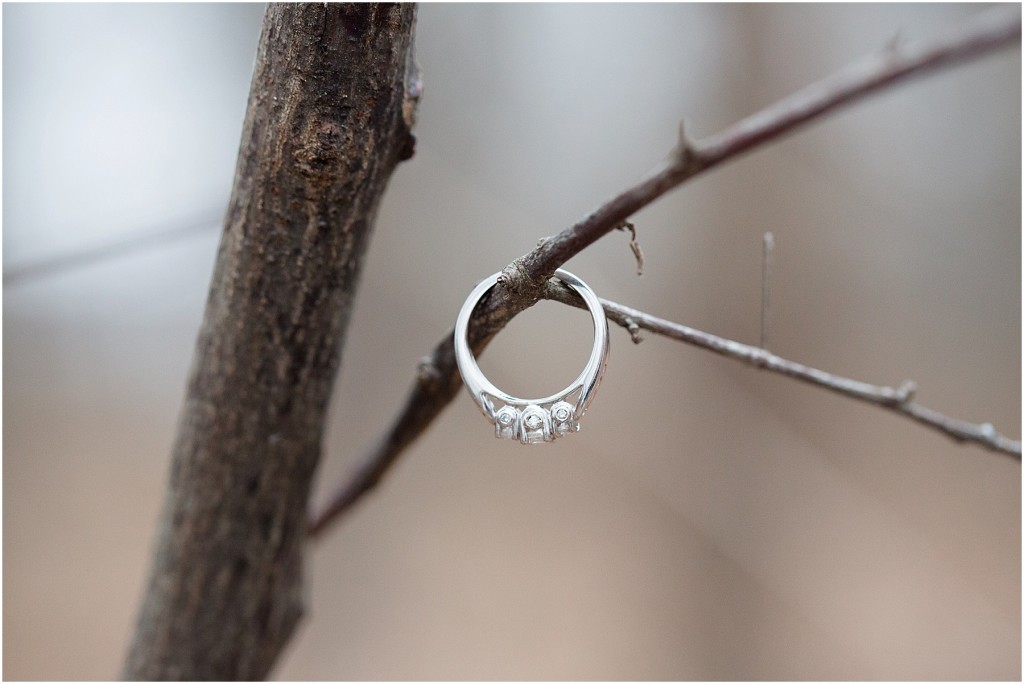 Springfield Winter Engagement Photography_0037