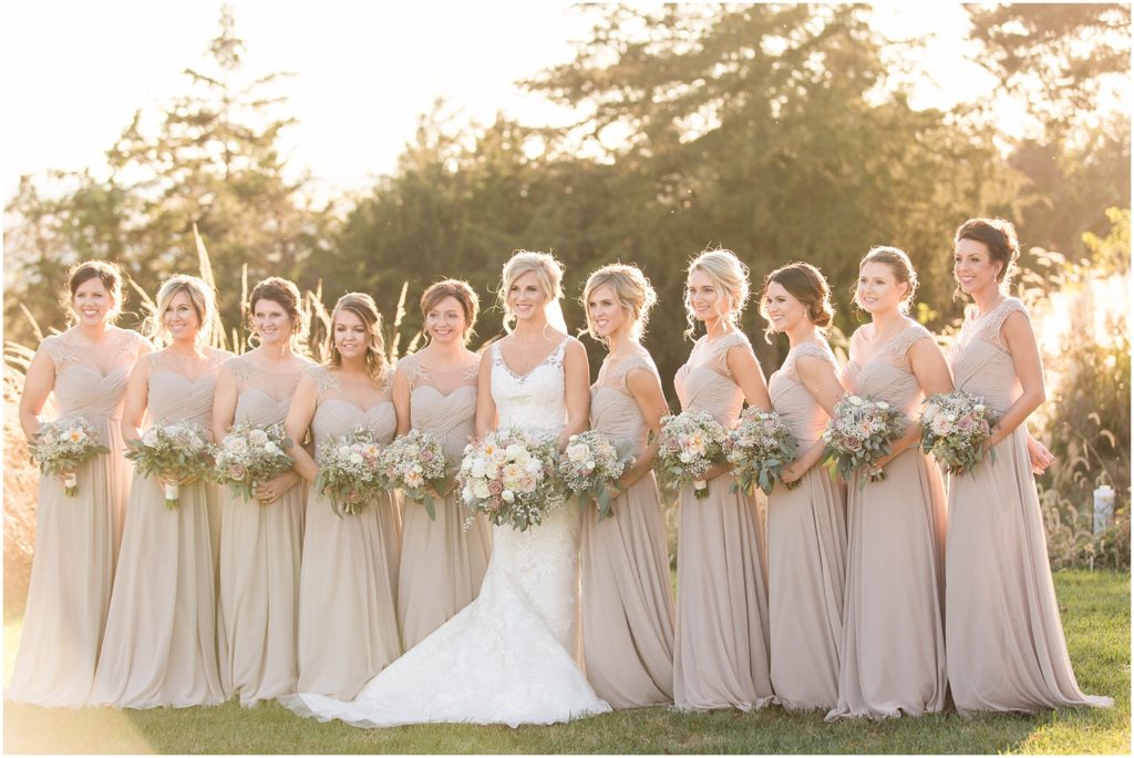 A Vintage theemed navy and blush wedding at The Ambiance in Quincy, IL ...