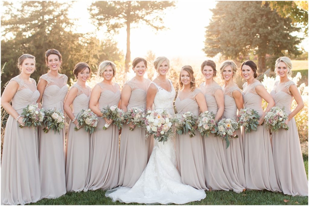 A Vintage theemed navy and blush wedding at The Ambiance in Quincy, IL ...